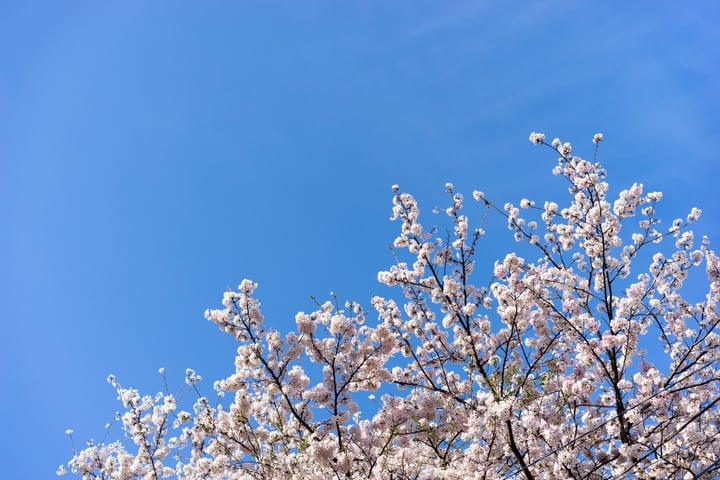 Preparing Your Construction Project for Spring: Why Plan Printing Still Matters