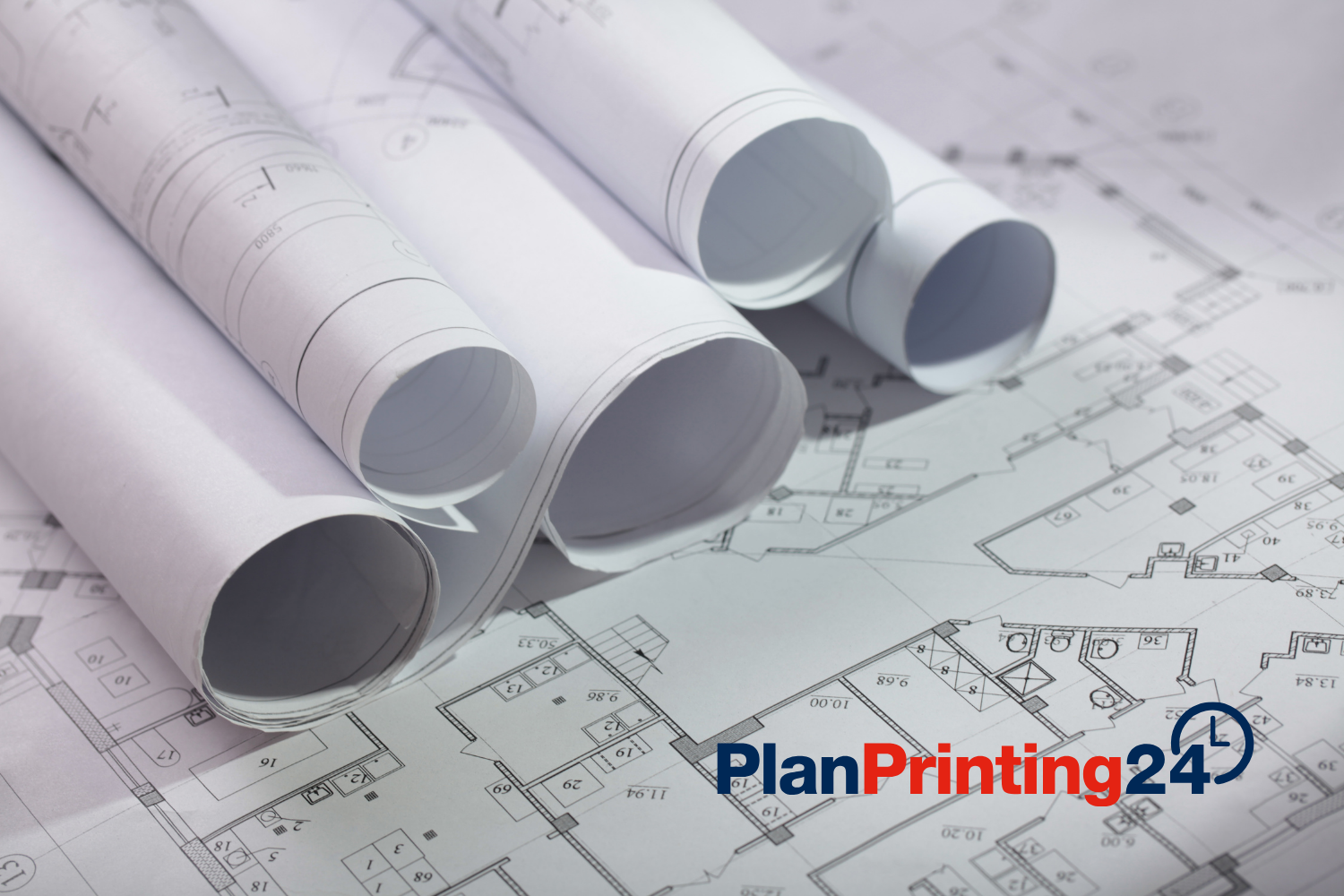 Scale plan printing